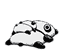 panda