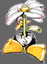 solana