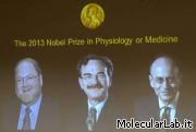 Nobel Medicina 2013