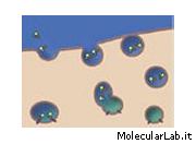 Nanoparticelle