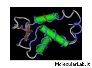 Proteina Foxp2, implicata nel linguaggio