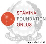 Stamina Foundation ottiene l'OK del Governo