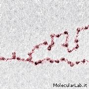 Nucleosomi nella trascrizione del DNA