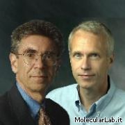 Robert Lefkowitz e Brian Kobilka, Nobel chimica