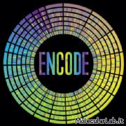 Encode