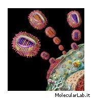 Virus influenzali