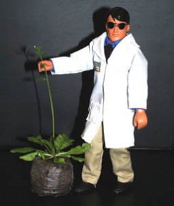 arabidopsis_dude