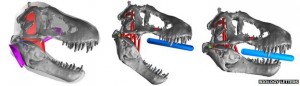 trex bite