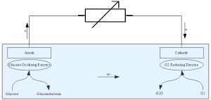 General_Enzyme_Fuel_Cell_Diagram