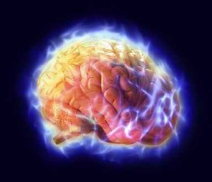 Il cervello: la causa di, e la soluzione a tutti i nostri problemi. Fonte foto: http://tumoricanegatto.blogspot.it