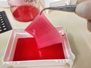 Che cosa sarà mai questa cosa cruenta? Lo scoprirete solo continuando a leggere?