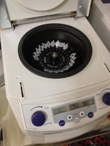 Una centrifuga da bancone. 13200 rpm di morbidezza.