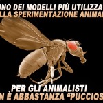 Ringraziamo gli amici di A favore della sperimentazione animale, che ci dilettano sempre con queste piacevoli chicche!