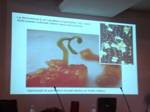 Un'altro "problema" delle specie selvatiche. Senza tutte le modifiche introdotte dall'uomo in quello che mangia sarebbe difficile essere vegetariani, eh?