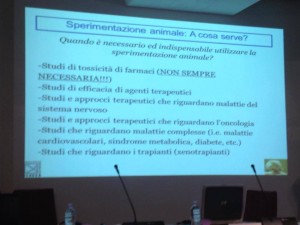 Come si potrebbero effettuare questi studi in vitro?