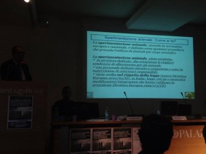 La sperimentazione animale non è il Far West: è regolamentata e condotta in modo puntuale. Come peraltro avete visto nel filmato dei simpatici animalisti, gli stabulari non sono i mattatoi che loro stessi vogliono farci credere!