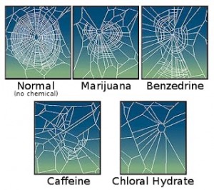 CaffeinatedSpider