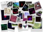 Collage1