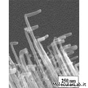 _20050809_nanotech-nanotubes-tailor-made-bends-bg