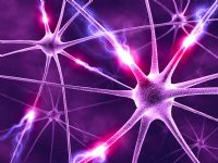 Neuroni