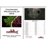 Preview mese Calendario dei Ricercatori 2012