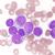 Anticorpi monoclonali contro la leucemia