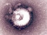 Virus H5N1