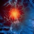 Neuroni e connessioni sinaptiche