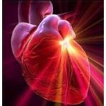 Cuore