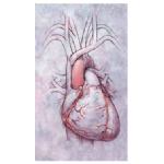 Cuore