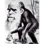 Darwin Day 2012 Caricatura Darwin