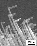 Nanotubuli