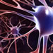 neuro