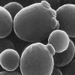 Cerevisiae