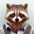 Mr. racoon