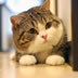Maru