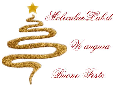 Buone Feste