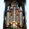 Organo