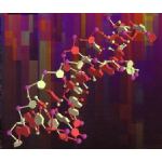 Struttura DNA