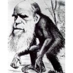 Darwin