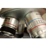Ottiche di un microscopio