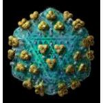 Virione HIV