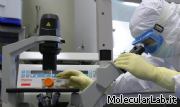 Ricercatore in laboratorio