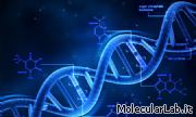 Rappresentazione filamento doppia elica DNA