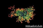 Cromosoma 3D fuori dalla mitosi