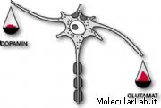 Glutammato e dopamina su cellule nervose