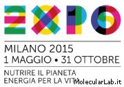 EXPO 2015