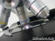 Microscopio