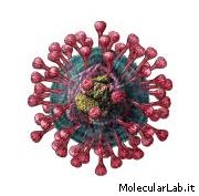 Sars virus