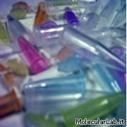 Eppendorfs di laboratorio